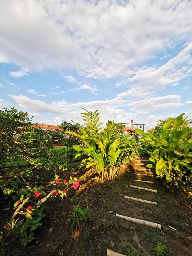 Hotel Arrayanes Del Quindio Montenegro Dış mekan fotoğraf